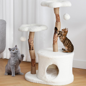 Luxury Solid Wood Cat Condo for Large Indoor Cats with Scratching Post, Flower Design, and Hiding Enclosure