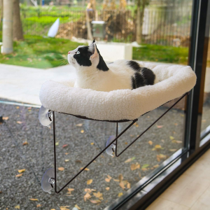Warm Spacious Pet Bed for Large Cats & Kittens, Ideal for Sunbathing, Napping, and Overlooking (White)